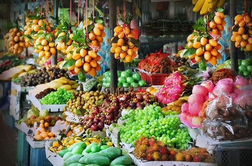 妻子的善意謊言 每周回娘家的真相